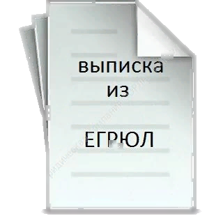 Изображение данные выписки из ЕГРЮЛ.